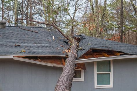 Daños por Viento en Seguros de Hogar: Todo lo que Necesitas Saber
