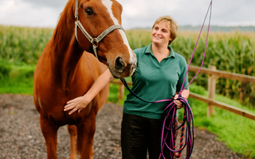 Seguro para caballos: guía definitiva 2025