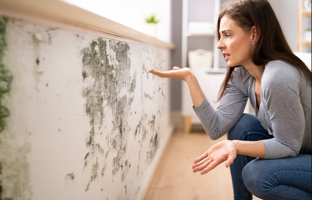 Imagen del artículo: Coberturas en seguros para comunidades que conviene conocer