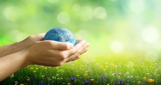 Qué es el Seguro de Responsabilidad Civil Medioambiental - JLA Asociados