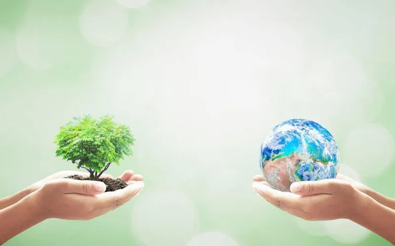 Qué es el Seguro de Responsabilidad Civil Medioambiental - JLA Asociados