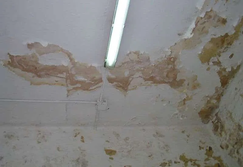 5 cosas que debes tener en cuenta si quieres asegurar un chalet - JLA Asociados