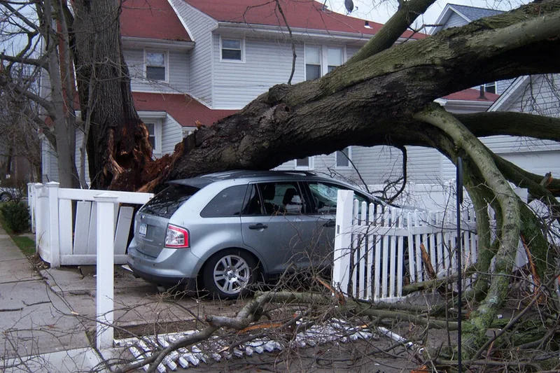 Cómo hacer valer tus derechos ante el rechazo de las aseguradoras en siniestros por lluvia y viento