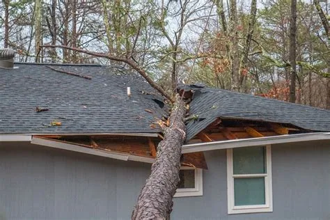 Daños por Viento en Seguros de Hogar: Todo lo que Necesitas Saber