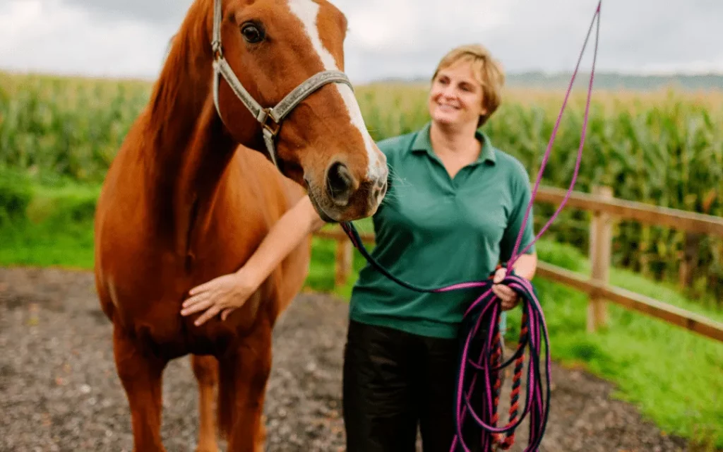 Seguro para caballos: guía definitiva 2025
