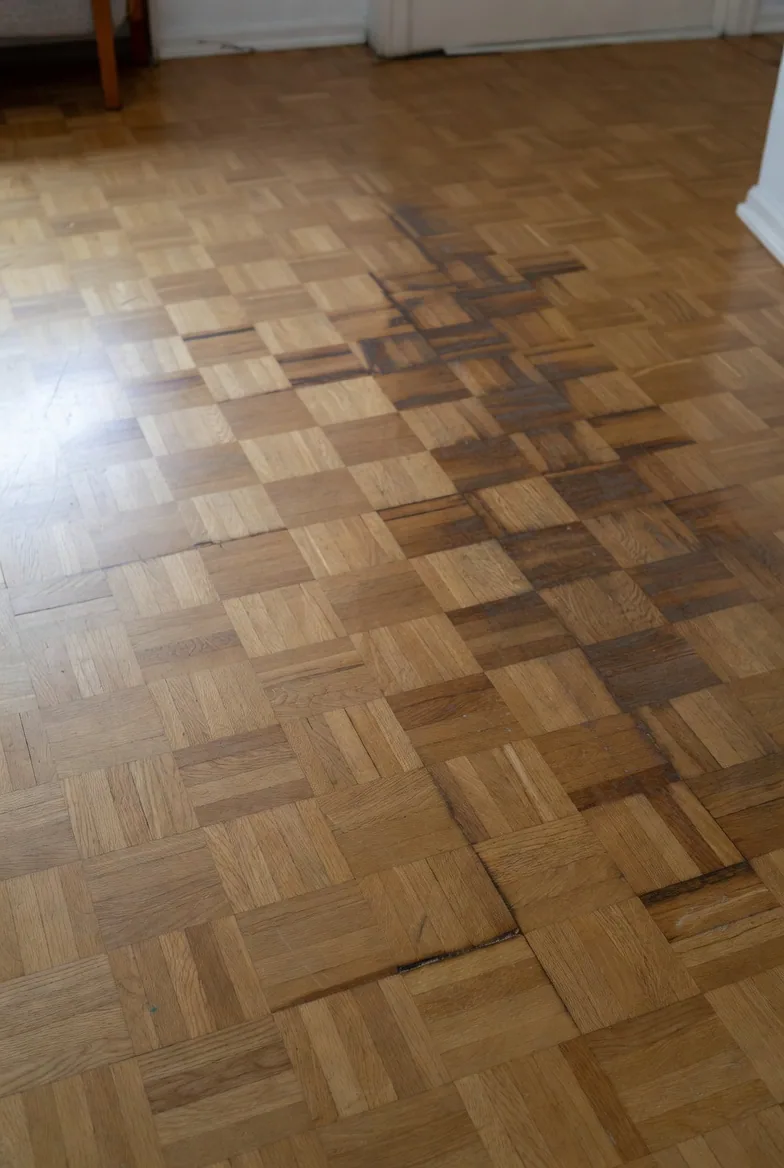 Daños estéticos en el seguro del hogar: la cobertura que casi nadie revisa