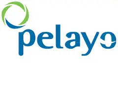 Pelayo logo